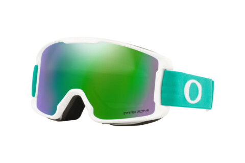 Горнолыжные очки-маски Oakley Line Miner S (709539)