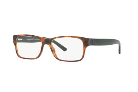 Brille Polo PH 2117 (5650)