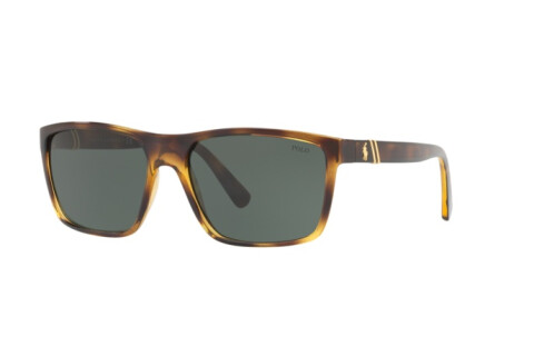 Солнцезащитные очки Polo PH 4133 (500371)