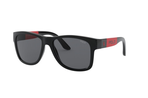 Sunglasses Polo PH 4162 (500187)