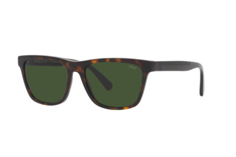 Sonnenbrille Polo PH 4167 (500371)