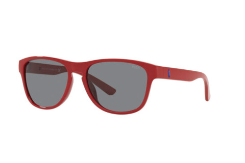 Sonnenbrille Polo PH 4180U (559487)