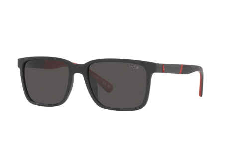 Sonnenbrille Polo PH 4189U (537587)