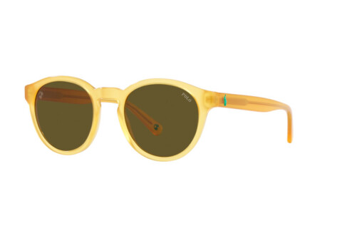 Lunettes de soleil Polo PH 4192 (500573)