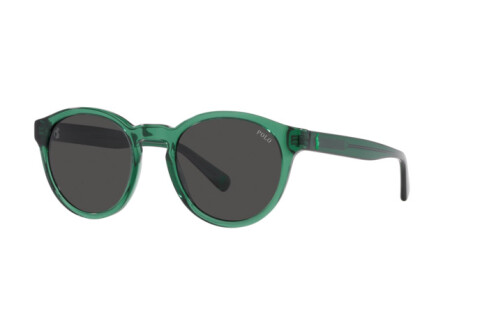 Sonnenbrille Polo PH 4192 (608487)