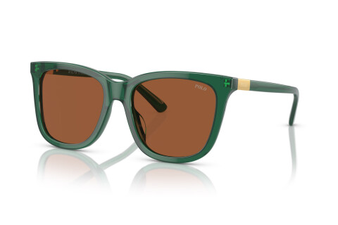 Sunglasses Polo PH 4201U (619573)