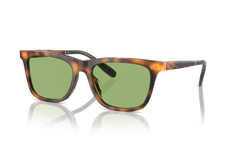 Солнцезащитные очки Polo PH 4205U (6089/2)