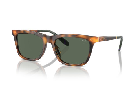 Sunglasses Polo PH 4205U (608971)