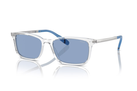 Sunglasses Polo PH 4212 (533172)