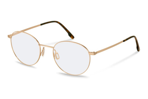 Brille Rodenstock R2662 (C000)