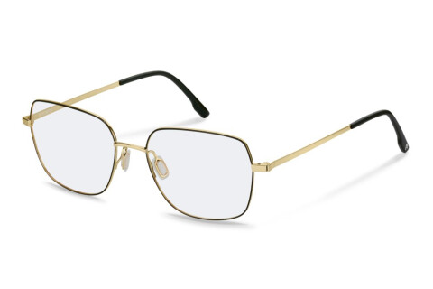 Brille Rodenstock R2664 (B000)