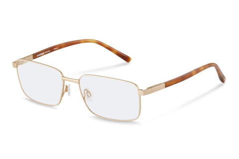 Lunettes de vue Rodenstock R7130 (B000)