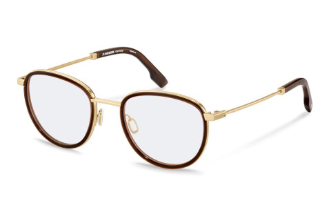 Brille Rodenstock R8034 (A000)