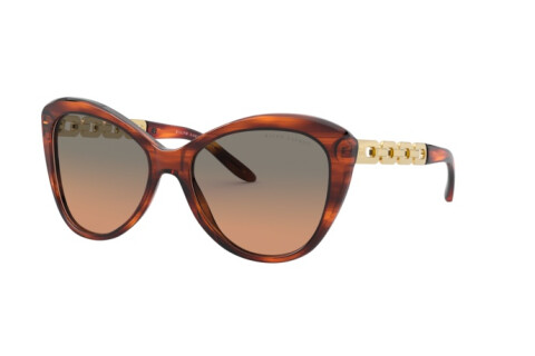 Lunettes de soleil Ralph Lauren RL 8184 (500718)