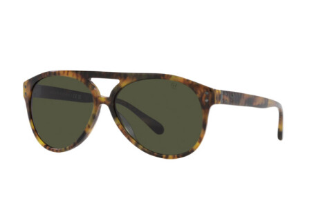 Sonnenbrille Ralph Lauren The Cruiser RL 8211U (501731)