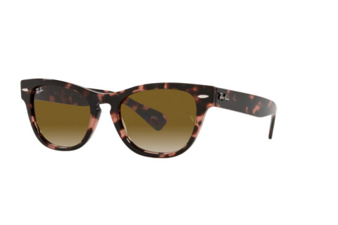 Sunglasses Ray-Ban Laramie RB 2201 (133451)