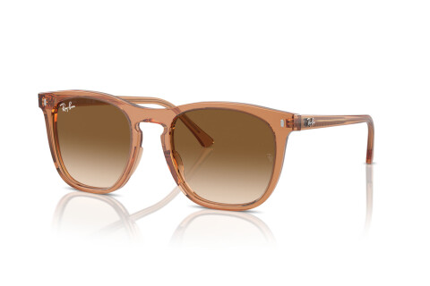 Occhiali da Sole Ray-Ban RB 2210 (676451)