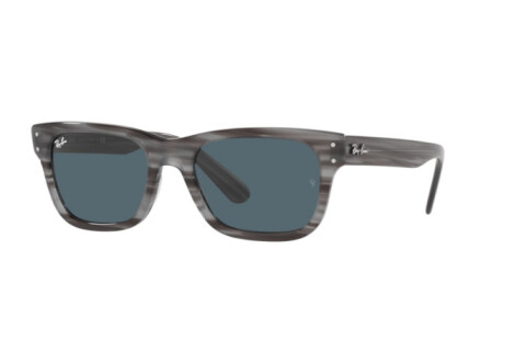 Occhiali da Sole Ray-Ban Mr burbank RB 2283 (1314R5)