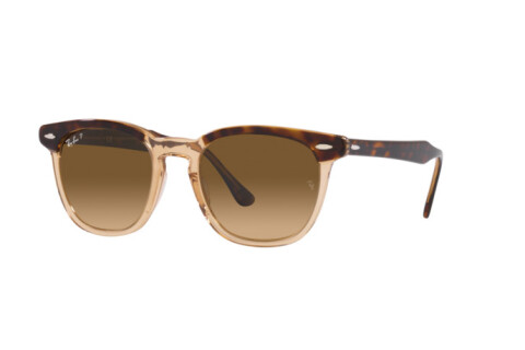 Sunglasses Ray-Ban Hawkeye RB 2298 (1292M2)