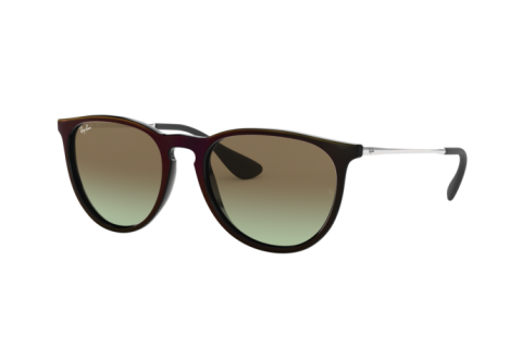 Sunglasses Ray-Ban Erika RB 4171 (6316E8)