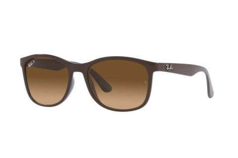 Sonnenbrille Ray-Ban RB 4374 (6600M2)