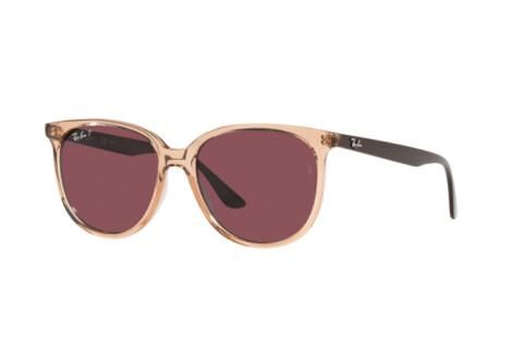 Occhiali da Sole Ray-Ban RB 4378 (66025Q)