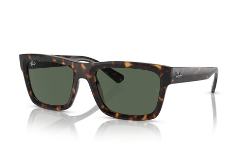 Солнцезащитные очки Ray-Ban Warren RB 4396 (135971)