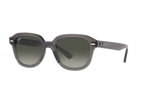 Occhiali da Sole Ray-Ban Erik RB 4398 (667571)