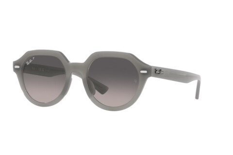 Sunglasses Ray-Ban Gina RB 4399 (6429M3)