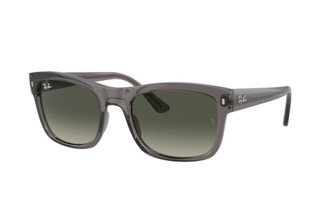 Occhiali da Sole Ray-Ban RB 4428 (667571)