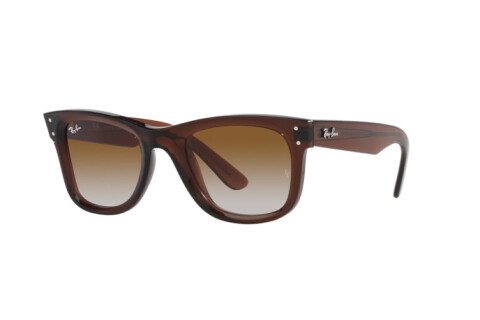 Lunettes de soleil Ray-Ban Wayfarer Reverse RB R0502S (6709CB)