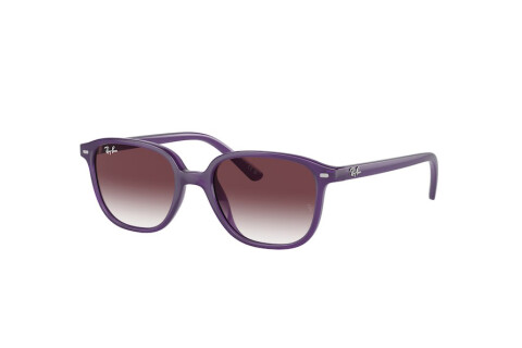 Sunglasses Ray-Ban Leonard Junior RJ 9093S (713136)