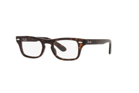 Очки с диоптриями Ray-Ban Burbank jr RY 9083V (3887)