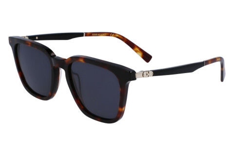 Lunettes de soleil Salvatore Ferragamo SF1100S (242)