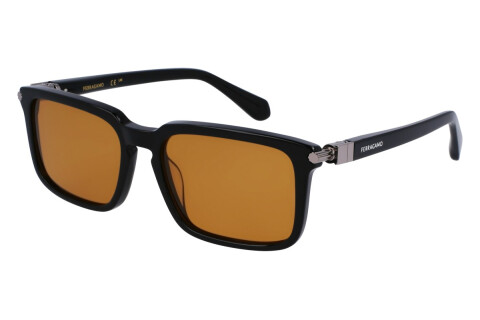 Sunglasses Salvatore Ferragamo SF1110S (009)