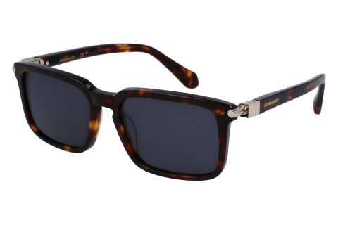 Sunglasses Salvatore Ferragamo SF1110S (242)