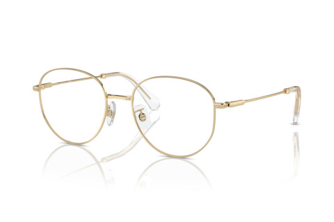 Lunettes de vue Swarovski SK 1016D (4013)