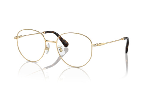 Eyeglasses Swarovski SK 1016D (4028)