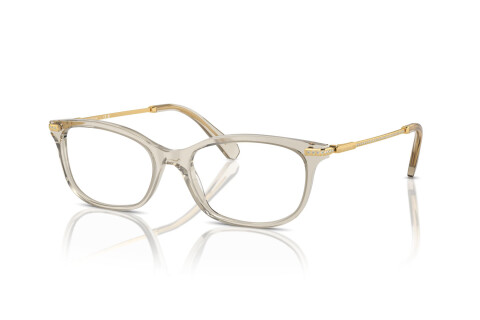 Brille Swarovski SK 2017 (3003)