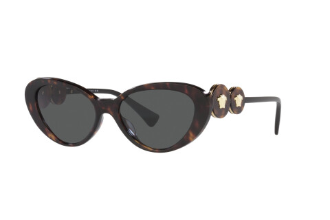 Солнцезащитные очки Versace VE 4433U (108/87)