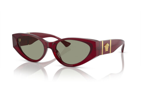 Sunglasses Versace VE 4454 (5430/2)