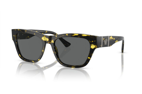 Sunglasses Versace VE 4457 (542887)