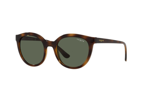 Sunglasses Vogue VO 5427S (W65671)