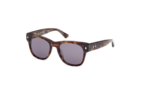 Sonnenbrille Web WE0353 (56A)