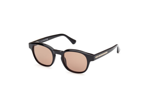 Sunglasses Web WE0361 (05J)