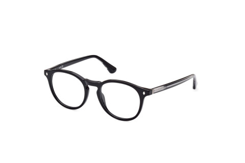 Brille Web WE5387 (005)