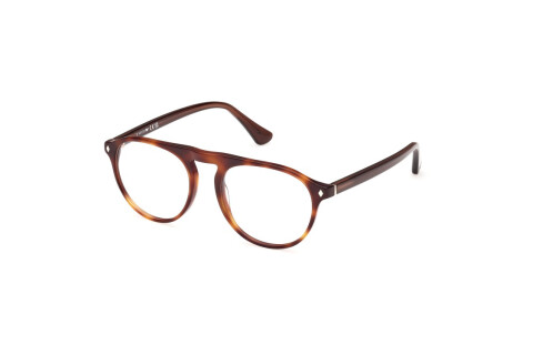 Brille Web WE5429 (056)