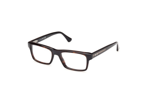 Brille Web WE5432 (056)