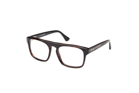 Brille Web WE5434 (056)