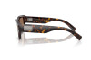 Sunglasses Dolce & Gabbana DG 4483 (502/73)